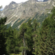 Illustration for article titled Illuminated Lamps Cascade Up a Huge Swiss Pine Tree